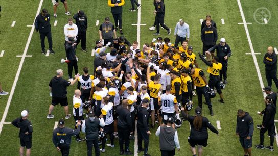 Steelers' Domata Peko