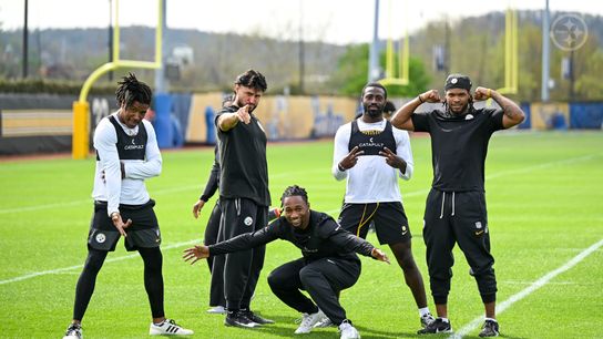 Steelers Fan Favorite Expected To Be Cut As Pair Of Surprise Roster Moves Are Predicted. Photo by Karl Roser / Pittsburgh Steelers