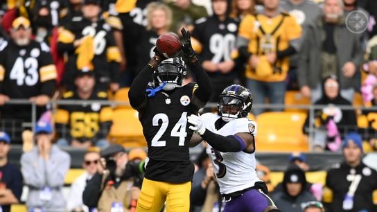 Steelers' Timeline For Next Big Signing Potentially Revealed (Steelers News)