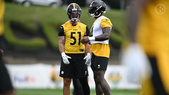 Steelers Insider Continues To Tear Apart A Risky Move During The 2026 Offseason (Steelers News)