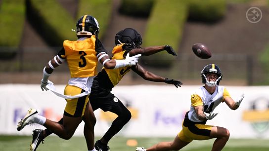 Steelers Fans Can Start Getting Excited As Roman Wilson "Is A Different Player" (Steelers News)