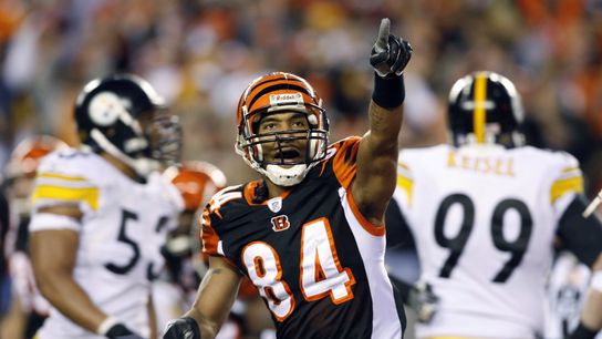 Steelers TJ Houshmandzadeh Steelers TJ Houshmandzadeh