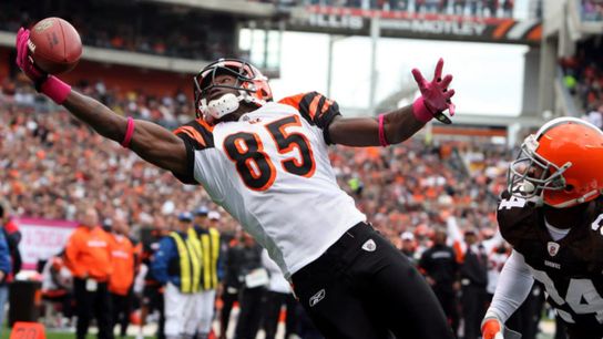 Chan Johnson in his time with the Cincinnati Benglas Chan Johnson in his time with the Cincinnati Benglas