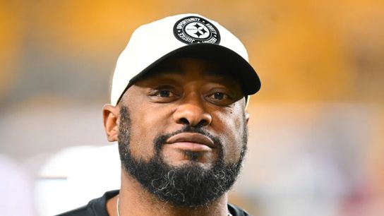 Steelers Host Promising Veteran Wide Receiver For A Visit (Steelers News)
