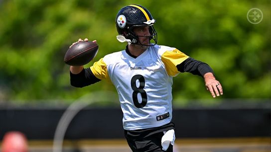 Steelers Aaron Rodgers Steelers Aaron Rodgers
