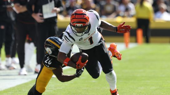 Steelers Defender Is Seriously Falling Out Of Favor In Pittsburgh (Steelers News)