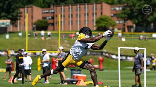 Steelers' DK Metcalf Gets An Extremely Blunt Message About Aaron Rodgers From A Former Super Bowl Champion (Steelers News)