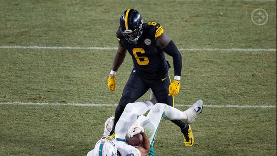 Steelers Patrick Queen Steelers Patrick Queen
