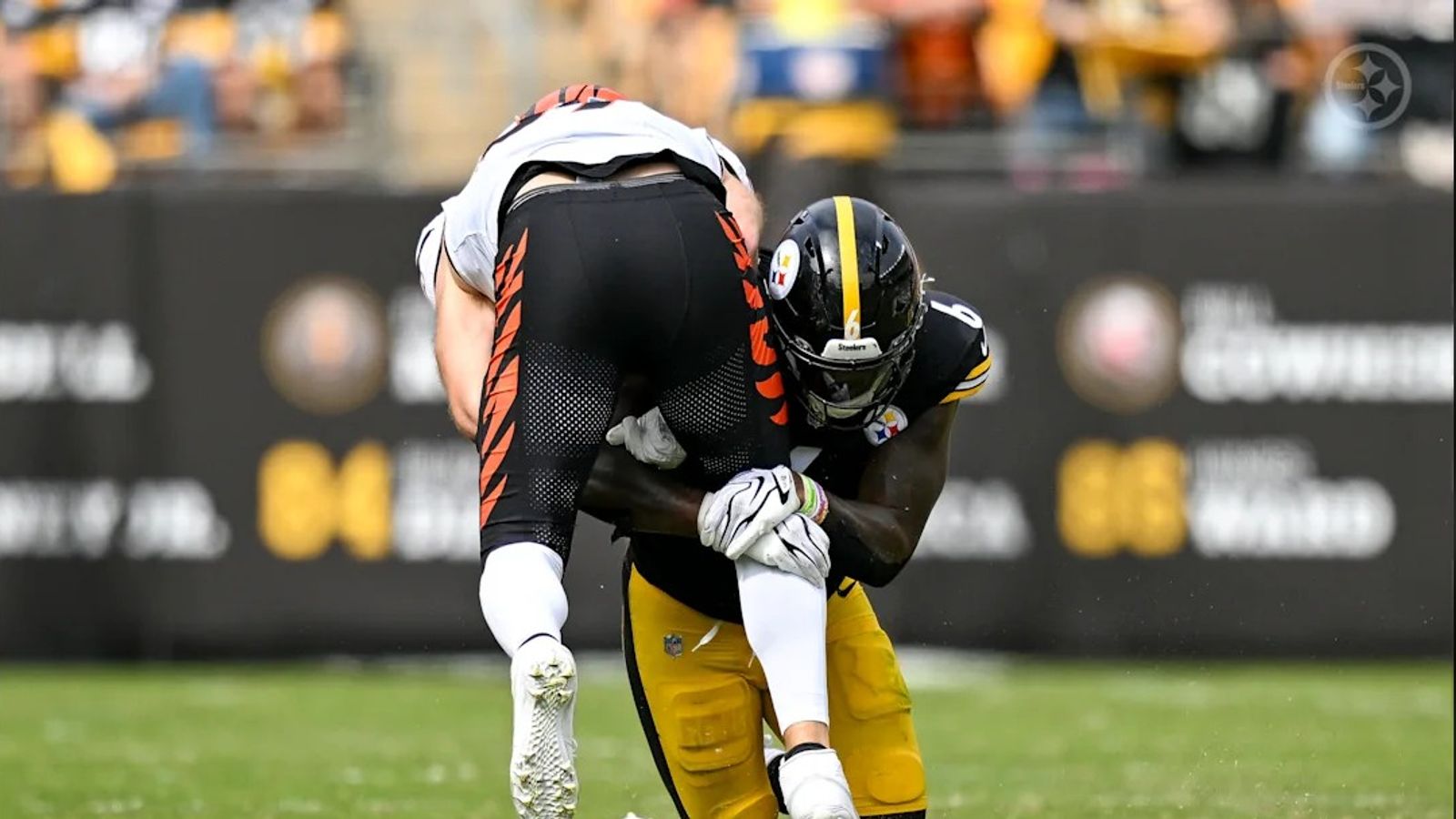 Steelers' Mike McCarthy Makes Definitive Statement About LB Patrick Queen (Steelers News). Photo by Jordan Perez / Pittsburgh Steelers
