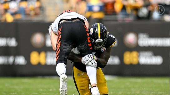 Steelers Patrick Queen Steelers Patrick Queen