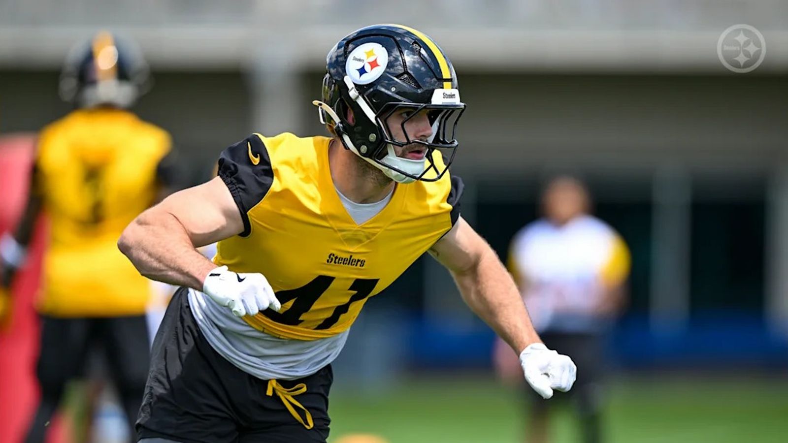 Steelers' Payton Wilson Is An Established Player But He Stayed For The Final Week Of OTA's (Steelers News). Photo by Karl Roser / Pittsburgh Steelers