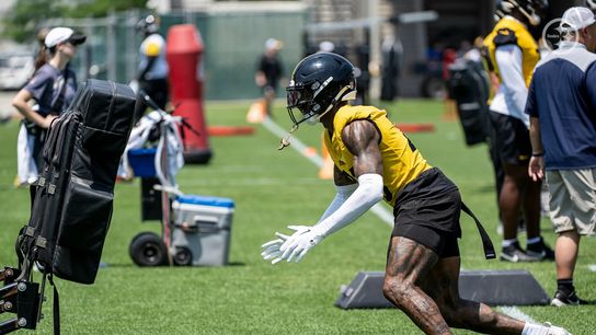 Steelers' DeShon Elliott Admits That His Usually Great Teammate "Didn't Play Up To His Standards" In 2024. Photo by Taylor Ollason / Pittsburgh Steelers