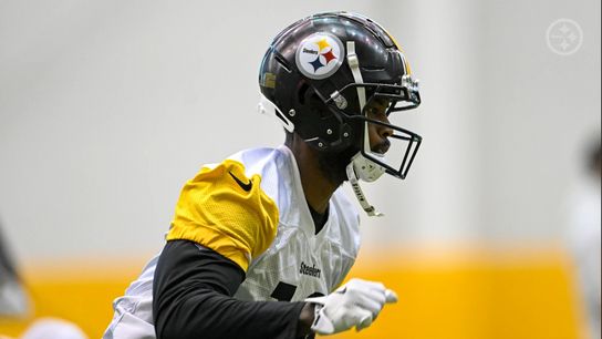 Steelers' Mike Williams Absolutely Needs To Step Up Without George Pickens: "This Is His Moment" (Steelers News)