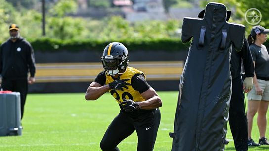 "He's Impressive": Steelers' Minkah Fitzpatick Offers Big Praise For Teammate. Photo by Taylor Ollason / Pittsburgh Steelers