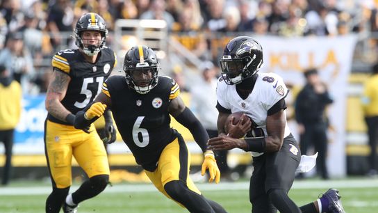 Steelers' Patrick Queen Taunts Former Teammate After Ravens' Brutal Playoff Loss (Steelers News)