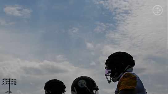 Steelers' Big Issue Has Been Flaring Up Again Early In 2025 (Steelers News)