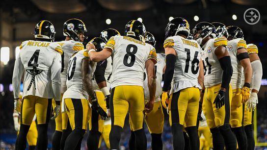 Steelers' DK Metcalf Has Better Case After New Detail Emerges From Altercation With Fan (Steelers News)