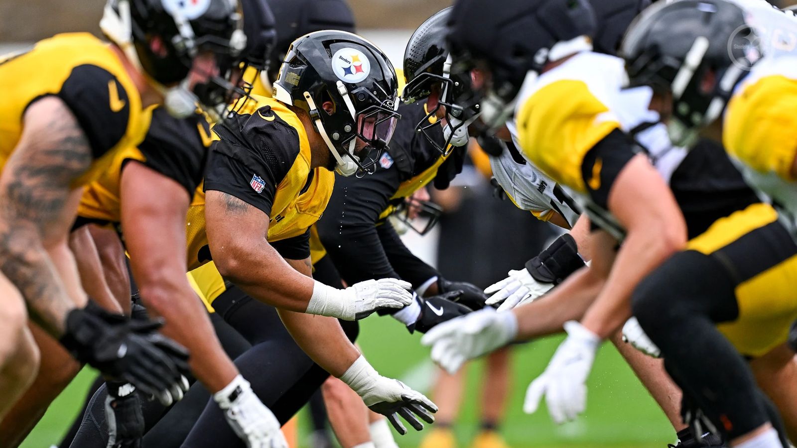 Steelers' Rookie Could Be Forced Onto Injured Reserve So All 4 Quarterbacks Stay On The Roster (Steelers News). Photo by Jordan Perez / Pittsburgh Steelers