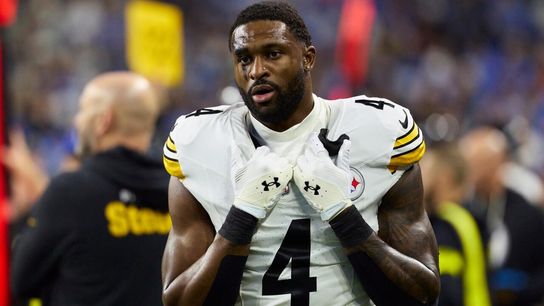 Former Steelers DB Takes Direct Shot At DK Metcalf. Photo by AP Photo / Rick Osentoski