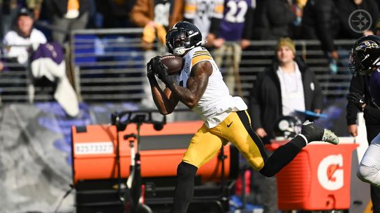 Steelers wide receiver DK Metcalf hauls in a long pass during during Pittsburgh's 27-22 win over the Baltimore Ravens in Week 14 of the 2025 NFL Regular Season. Steelers wide receiver DK Metcalf hauls in a long pass during during Pittsburgh's 27-22 win over the Baltimore Ravens in Week 14 of the 2025 NFL Regular Season.