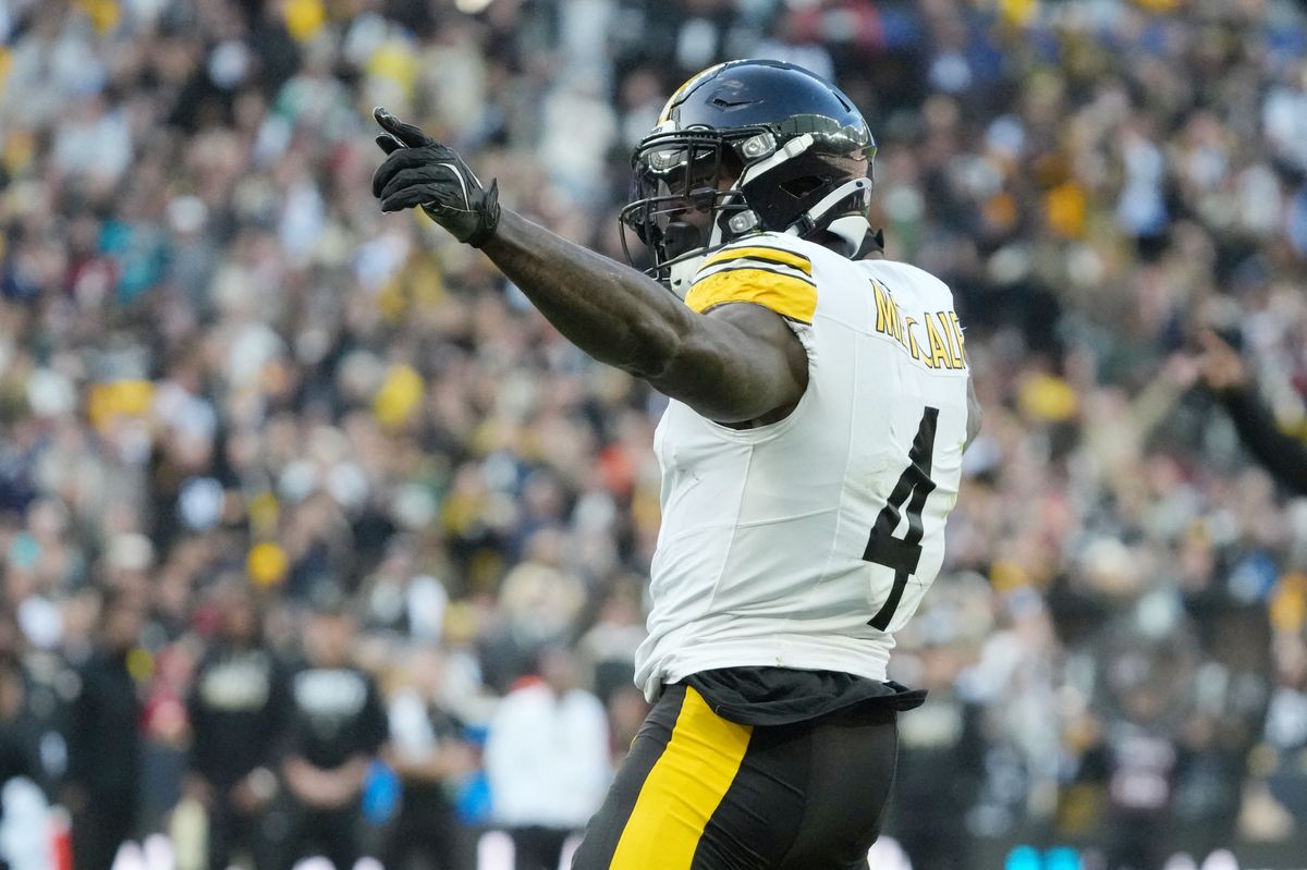 Steelers DK Metcalf 