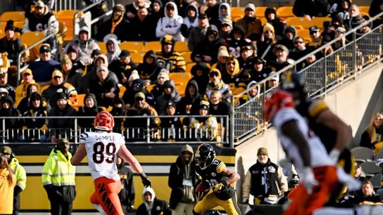 Steelers wide receiver Calvin Austin III (19) during a regular season matchup between the Pittsburgh Steelers and Cincinnati Bengals.