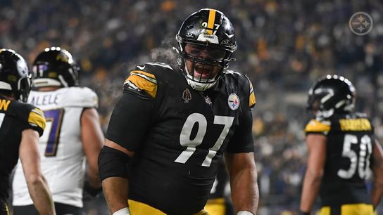 Steelers Cam Heyward
