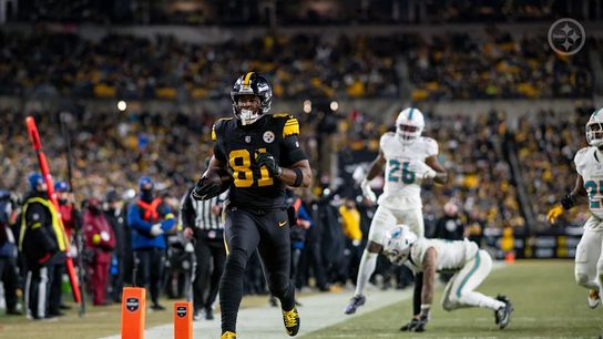 Steelers Jonnu Smith Steelers Jonnu Smith