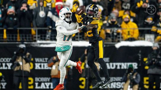 Steelers Asante Samuel Jr Steelers Asante Samuel Jr