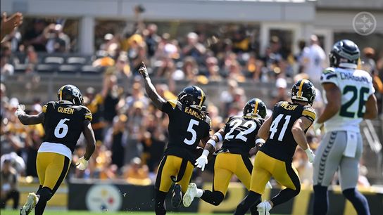 The Steelers defense celebrates during a Week 2 game against the Seattle Seahawks Steelers Defense