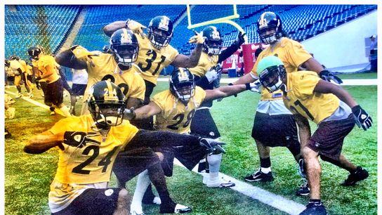 Steelers Mike Logan Troy Polamalu