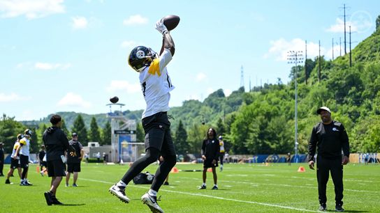 Steelers Gain Huge Praise From Former NFL QB Who Goes On Incredible Pro-Pittsburgh Rant. Photo by Karl Roser / Pittsburgh Steelers