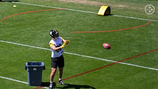 Steelers Tight Ends Get Brutal News About Their Involvement In The Offense . Photo by Taylor Ollason / Pittsburgh Steelers