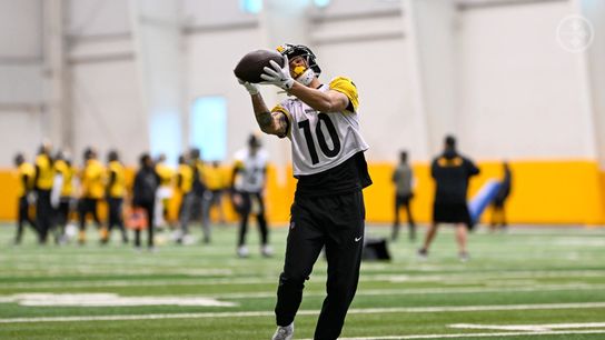 Steelers' Rookie Minicamp Is Revealing More Bad News For Roman Wilson (Steelers News)
