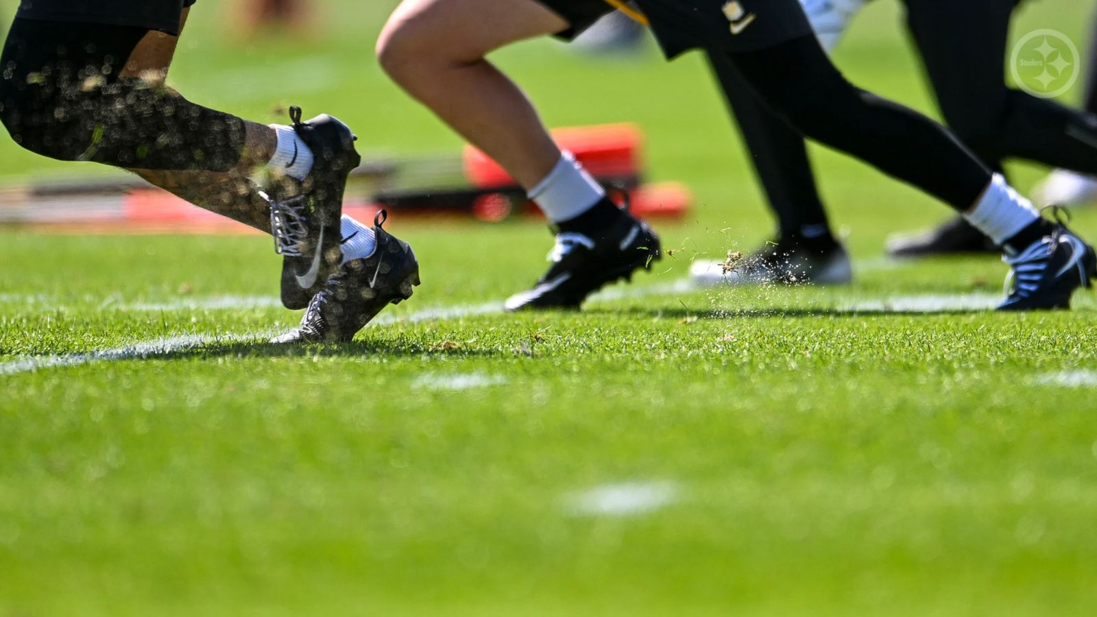 Steelers' Seventh-Round Pick Could Become A Dynamic Part Of The Team (Steelers News). Photo by Alysa Rubin / Pittsburgh Steelers