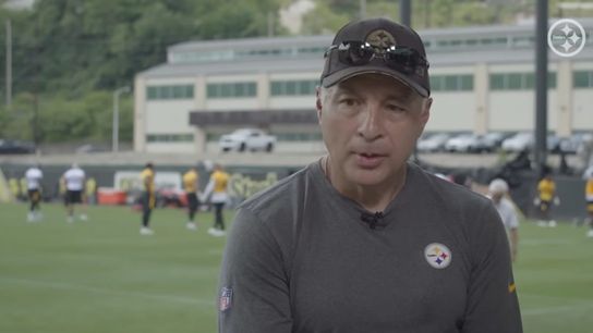 Steelers Mike Sullivan