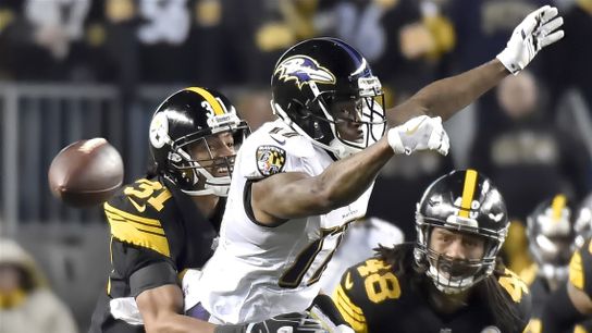 Cam Heyward fires back at Mike Wallace (Steelers News)