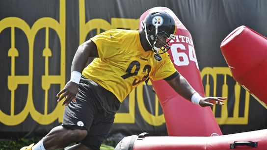 Actively Predicting the Inactive List: Week 10 (Steelers Inactives)
