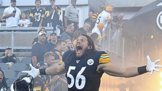 Anthony Chickillo Cut as Cap Casualty (Steelers News)