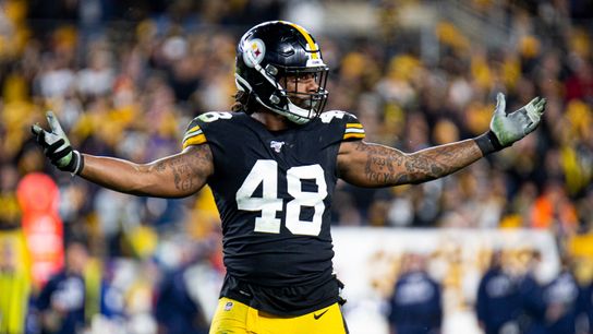 Steelers Bud Dupree Steelers Bud Dupree