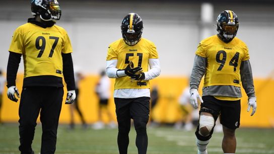 Avery Williamson: "I feel a whole lot more comfortable" (Steelers News)