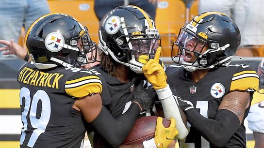 Steelers Minkah Fitzpatrick