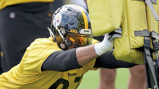 Steelers Cam Heyward