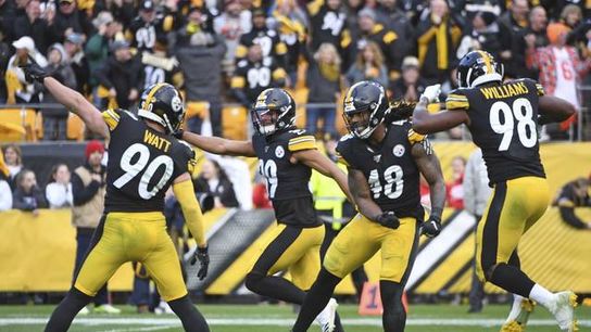 Most Valuable Steeler Heading into the 2020 Season (Steeler Blog Posts)