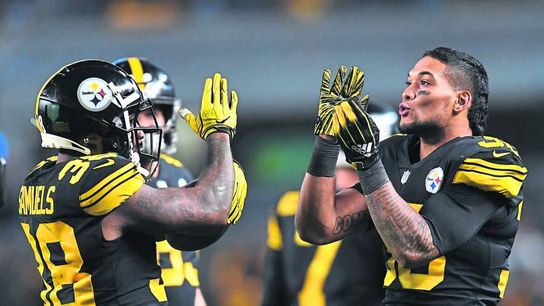 The 2020 Running Back Room (Steelers News)