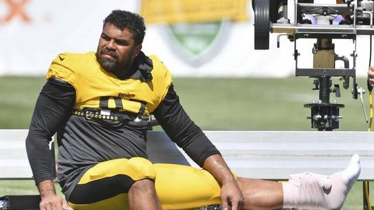 Steelers Cam Heyward