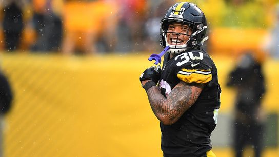The Hometown Kid And The Hometown Team (Steelers News)