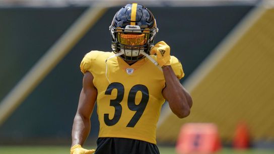 Minkah Fitzpatrick Talks Avery Williamson, Mike Tomlin, and More (Steelers News)
