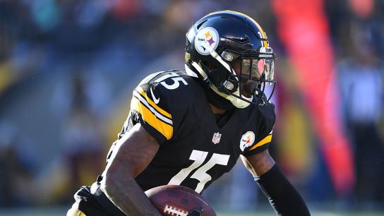 Anatomy of a WR - Demarcus Ayers (Steeler Blog Posts)