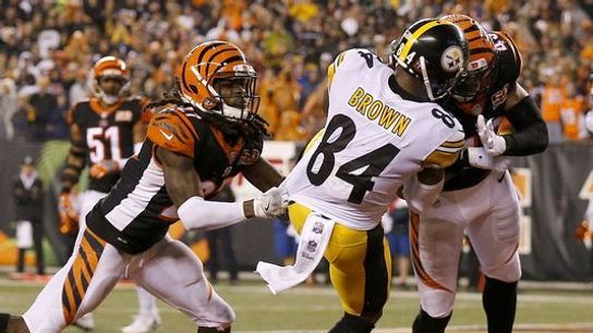 A Look Back at the Magical 2015 Season (Steeler Blog Posts)